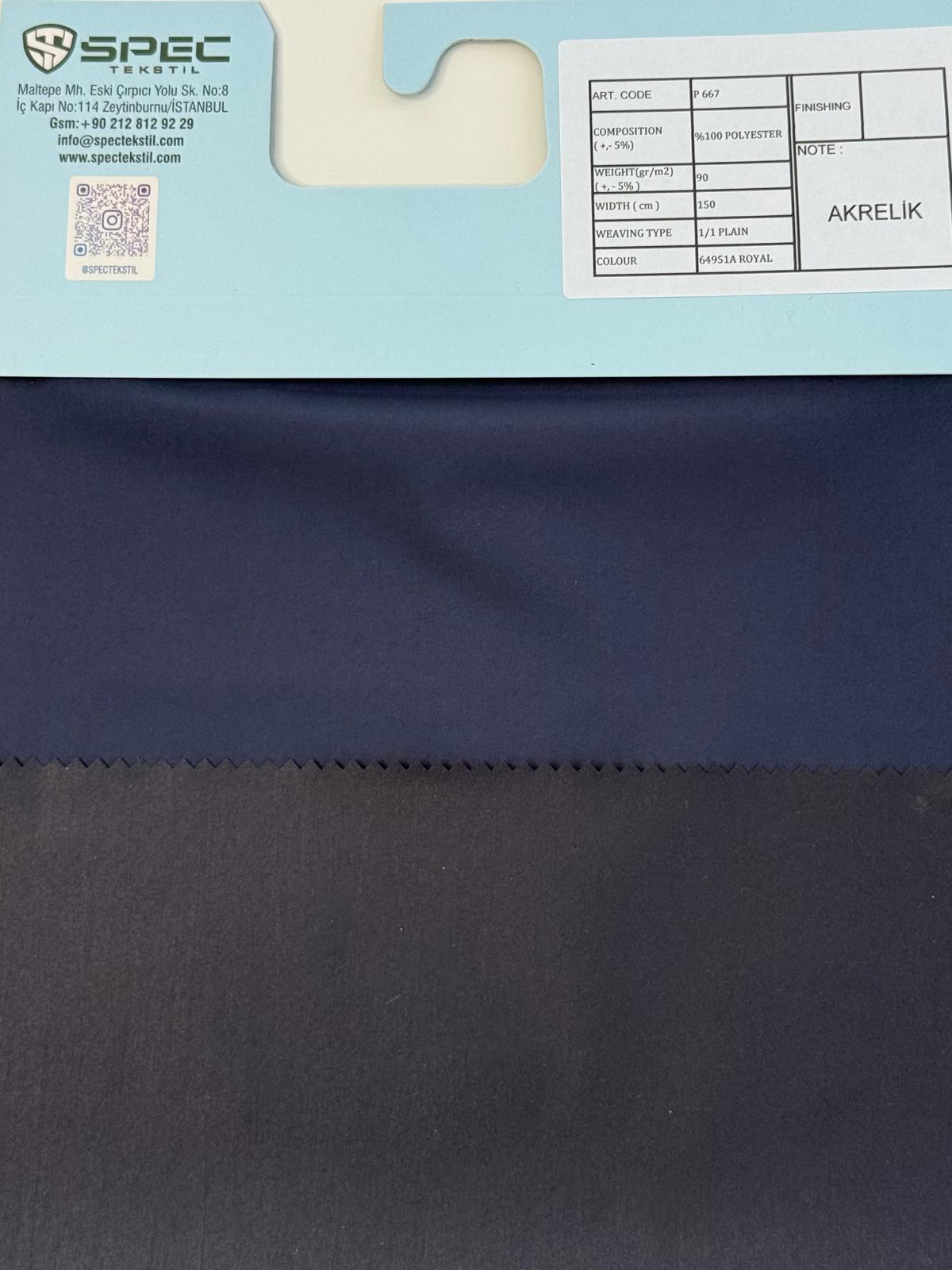 P 667